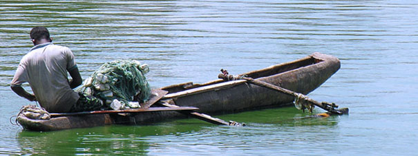 Lake boat safari Experience Sri Lanka