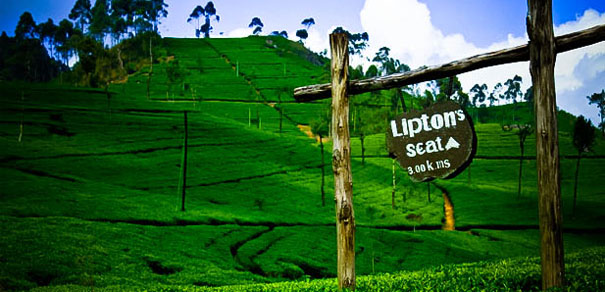 Lipton's seat in Haputale in Sri Lanka