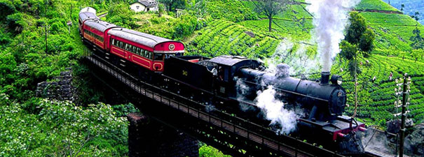 Nuwara Eliya Scenery Tours in Sri Lanka